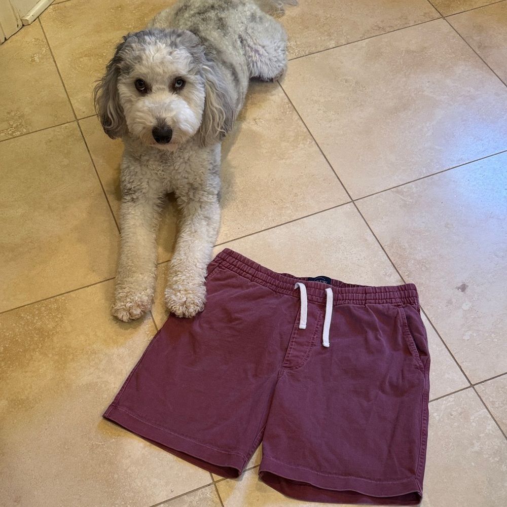 J. Crew Men’s Small Flat Front Drawstring Shorts in Maroon